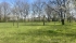IMG_4377 (FILEminimizer).jpeg